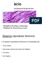 Reprodutor feminino