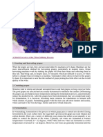 A Brief Overview of The Wine-Making Process: 1. Growing and Harvesting Grapes