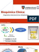 Bioquímica Clínica - Aula 4 - Perfil Lipídico