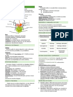 Sistema digestório e suas funções principais