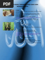 Download Berbagai Hama Tanaman Padi Dan Cara Mengatasinya by Mahmoedi Amir SN55080820 doc pdf