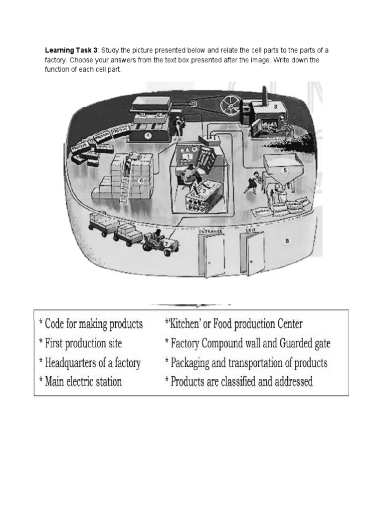 Factory. Choose Your Answers From The Text Box Presented After The ...