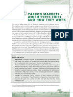 FAO On Carbon Market