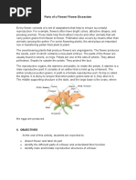 Lily Flower Dissection Guide | PDF