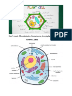 Animal Cell: Don't Mark-Microtubules, Peroxisome, Amyloplast (Plant Cell)