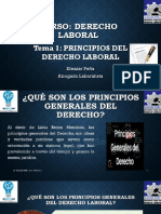 Tema 1 Principios de Derecho Laboral