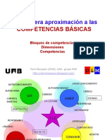 Aproximacion a Las Competencias Basicas