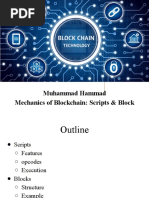 Muhammad Hammad Mechanics of Blockchain: Scripts & Block