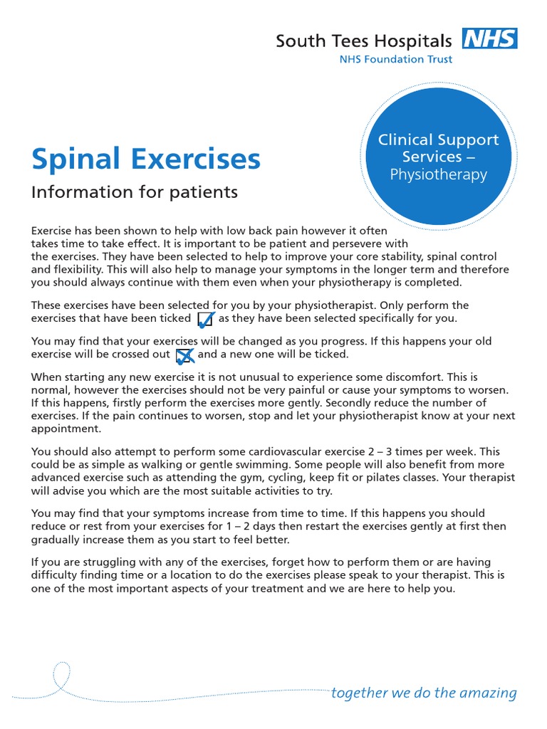 Spinal Exercises for Core Stability | PDF | Pelvis | Anatomical Terms ...