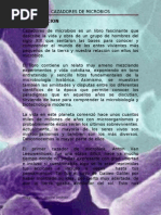 Download Ensayo de Cazadores de Microbio by Jenny Jimenez SN55087389 doc pdf