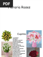 PLAN de AFACERI-Cultivare Plante Medic in Ale Si Aromatice | PDF