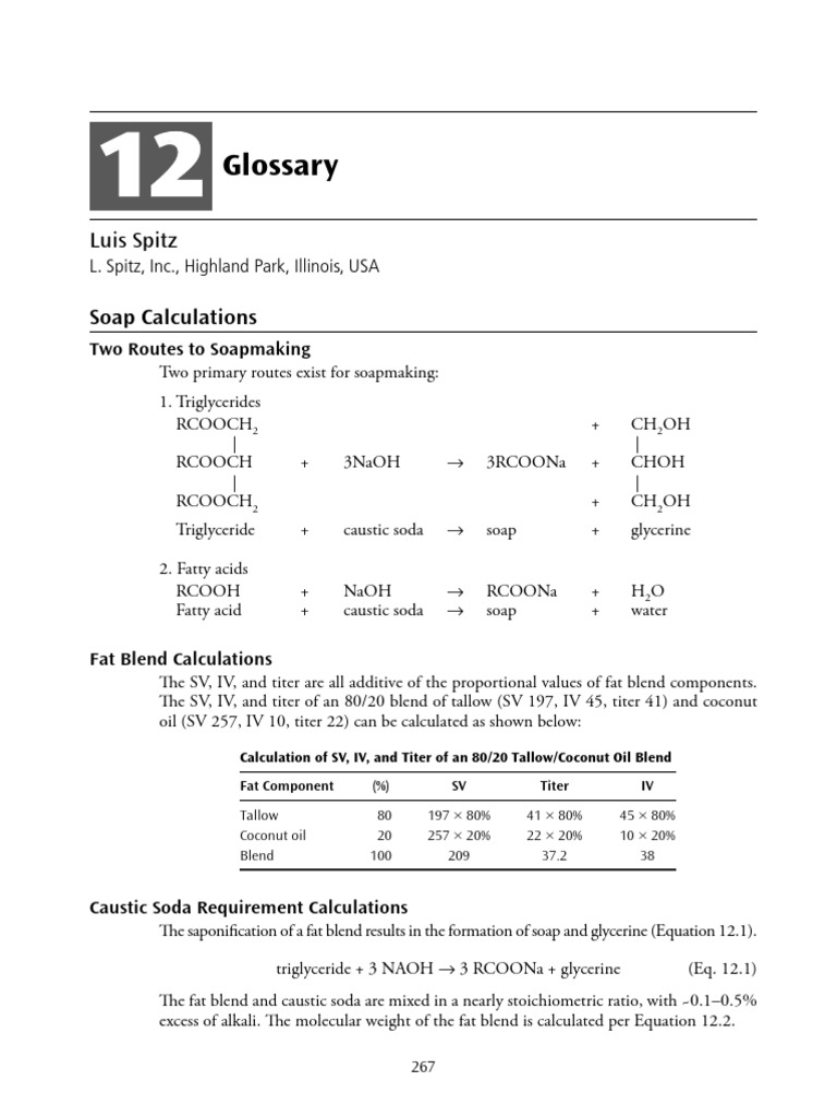 12 Glossary 2016 Soap Manufacturing Technology PDF Soap