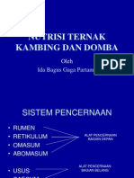 Nutrisi Ternak Kambing Dan Domba