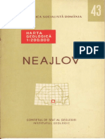 43 NEAJLOV - Carticica 200000