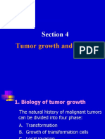 Section 4: Tumor Growth and Spread