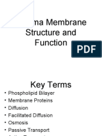 Plasma Membrane Structure and Functions Explained in 38 Characters