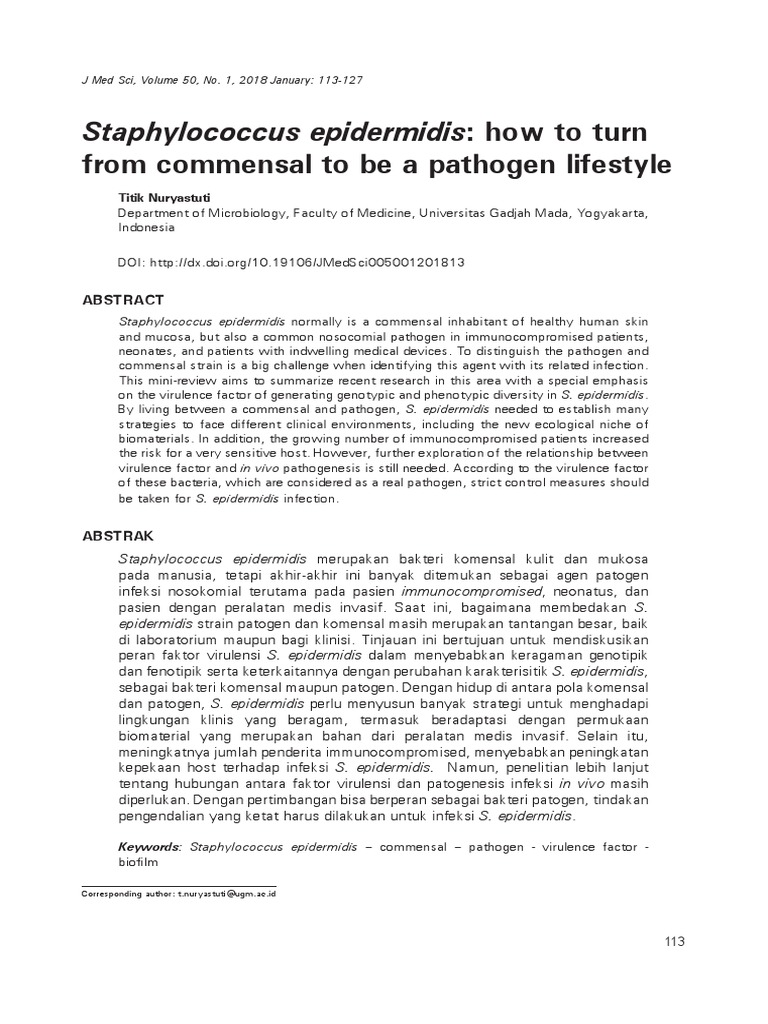 Bakteri S Epidermis Download Free Pdf Methicillin Resistant