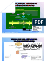 Citocinas Proinflamatorias y PFA Febrero 2013 (Modo de Compatibilidad)