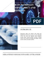 Doxorubicin PGx kandidat untuk toksisitas dan respons