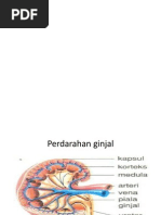 Download Vaskularisasi Urogenital by Wie Batubara SN55094966 doc pdf