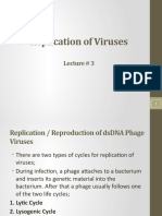 Lecture 3 Virology