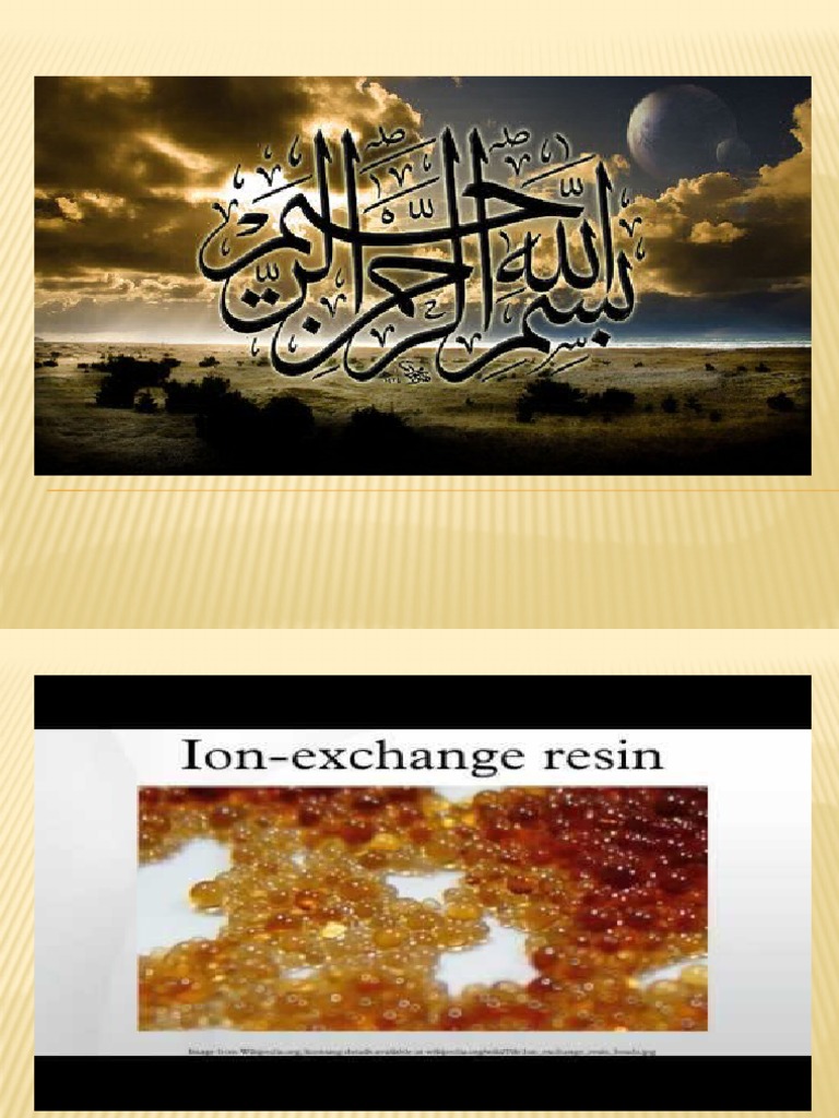 Ion Exchange Resins PDF Ion Exchange Ion
