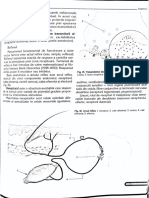 Anatomie 1