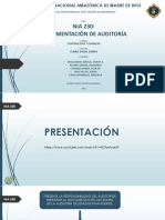 TRABAJO NIA 230 (DOCUMENTACIÓN DE AUDITORÍA)