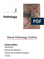 Renal Pathology