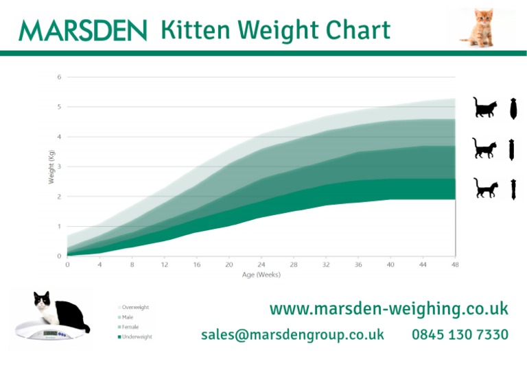 Kitten Weight Chart PDF