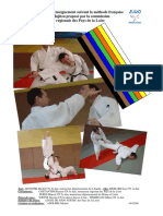 Planches Jujitsu