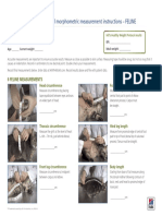 Hill's Healthy Weight Protocol Morphometric Measurement Instructions - FELINE