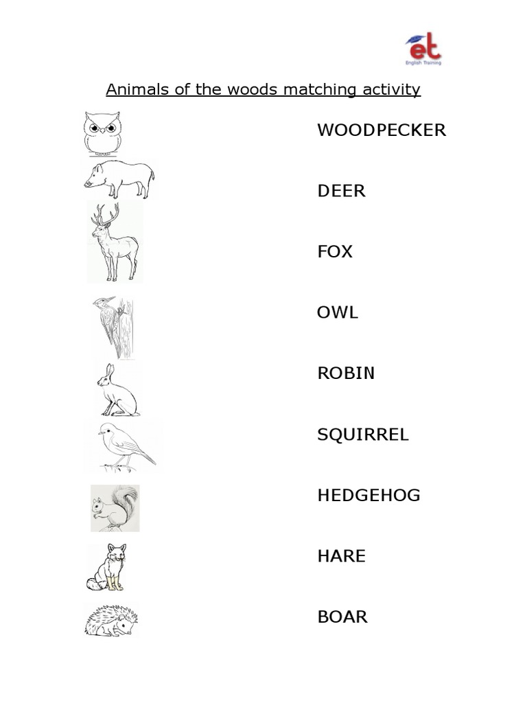animals-of-the-woods-worksheet-pdf