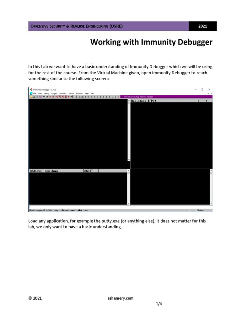 Lab 11 working with immunity debugger pdf computing information