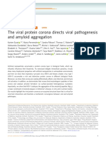 The Viral Protein Corona Directs Viral Pathogenesis and Amyloid Aggregation