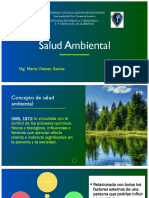 Salud Ambiental