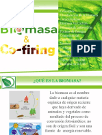 Biomassa e Co-Firing