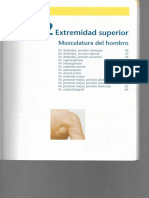 Extremidad SUP