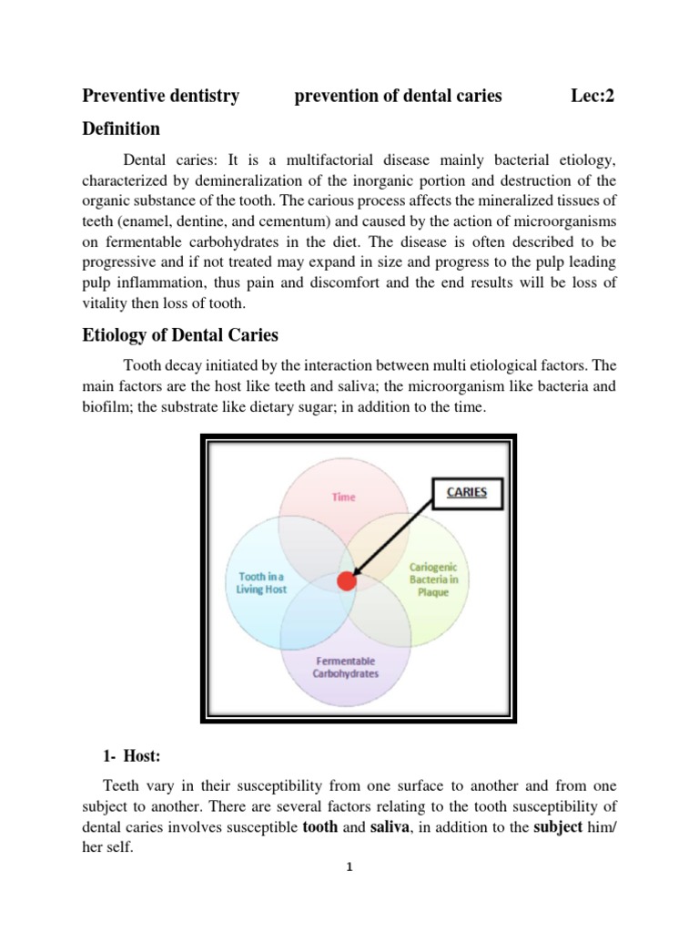 Strategies for Dental Caries Prevention | PDF | Human Tooth | Tooth Enamel