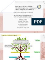 Metodologia arboles