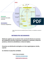 4.1 Metabolitos Secundarios en Plantas