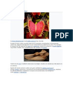 Clasificación: Editar