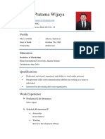 Curriculum Vitae 