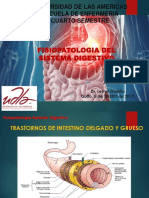 Fisiopatologia de Intestino