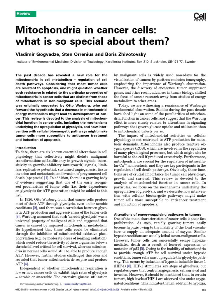 Mitochondria in Cancer Cells-Special 08 | PDF | Mitochondrion | Apoptosis