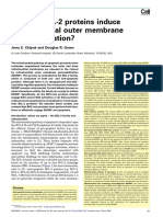 How Do BCL-2 Proteins Induce Mitochondrial-membrane Permeabiliza08