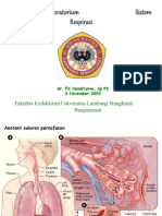 Kuliah Respirasi 2020