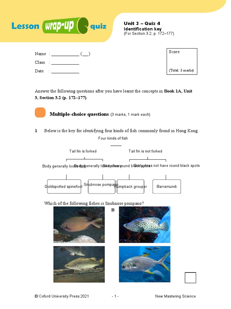 MultipleChoice Questions Identification Key PDF