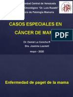 Casos Especiales de Cancer de Mama 2020