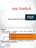 Stenoza aortica, Asistenti